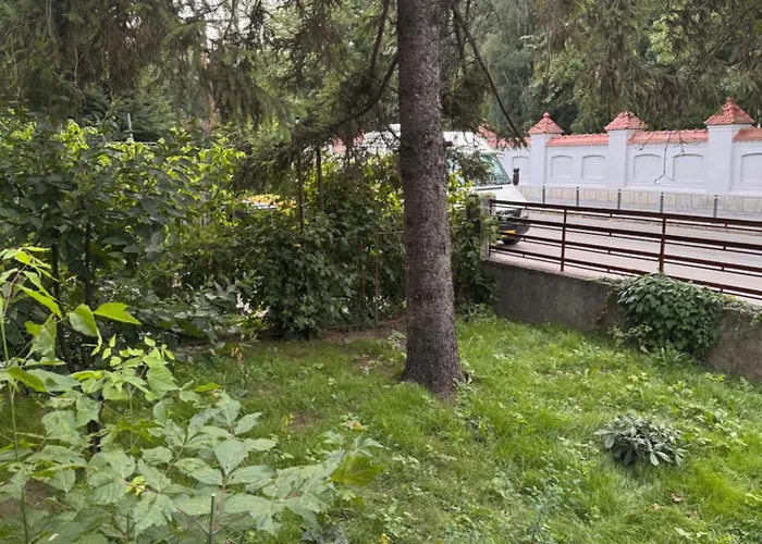 Vila Relax Cotroceni