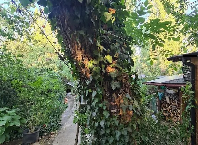 Mansarda Boema, Gradina De Basm