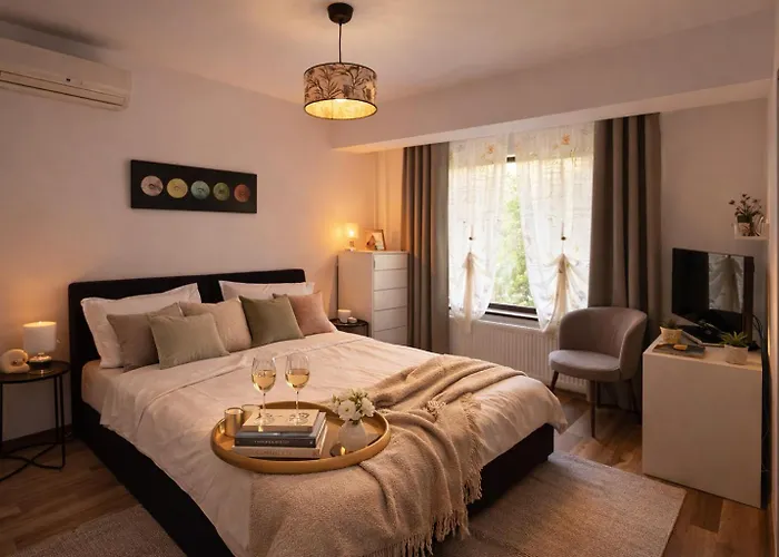 Vila Luminoasa Cu Curte Privata